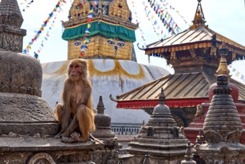 Swayambhunath Stupa Tour